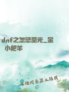 dnf之忽悠圣光