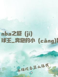 nba之超級(jí)球王