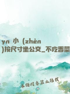 yn蕩小鎮(zhèn)按尺寸坐公交