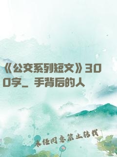 《公交系列短文》300字