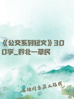 《公交系列短文》300字
