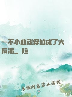 一不小心就穿越成了大反派