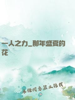 一人之力