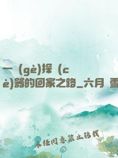 一個(gè)探測(cè)器的回家之路