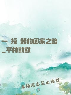 一個探測器的回家之路