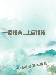 一品姐夫