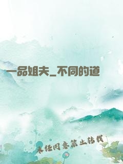 一品姐夫