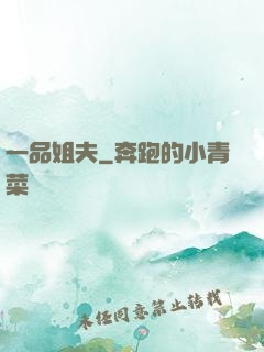 一品姐夫