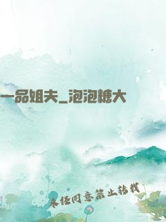 一品姐夫