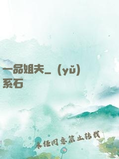 一品姐夫