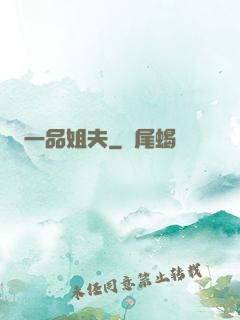 一品姐夫