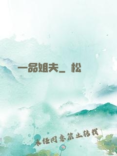一品姐夫