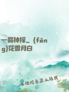 一品神探