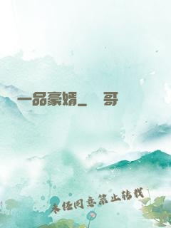 一品豪婿