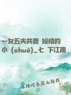一女五夫共妻蘇婉晴的小說(shuō)