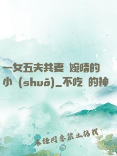 一女五夫共妻蘇婉晴的小說(shuō)