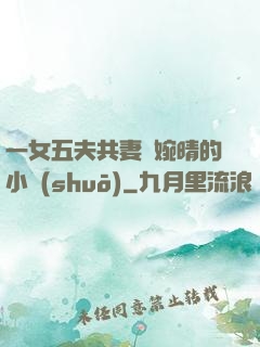 一女五夫共妻蘇婉晴的小說(shuō)