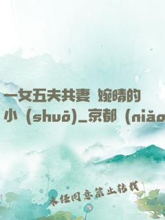 一女五夫共妻蘇婉晴的小說(shuō)