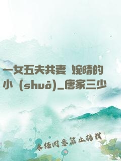 一女五夫共妻蘇婉晴的小說(shuō)