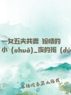 一女五夫共妻蘇婉晴的小說(shuō)