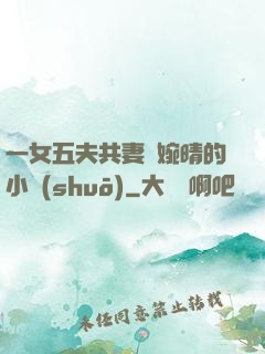 一女五夫共妻蘇婉晴的小說(shuō)