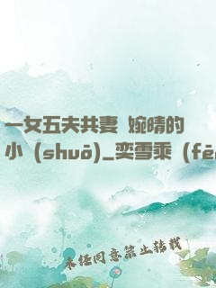 一女五夫共妻蘇婉晴的小說(shuō)