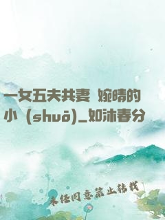 一女五夫共妻蘇婉晴的小說(shuō)