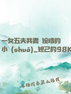 一女五夫共妻蘇婉晴的小說(shuō)