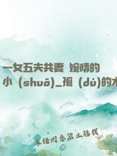 一女五夫共妻蘇婉晴的小說(shuō)