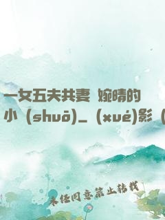 一女五夫共妻蘇婉晴的小說(shuō)