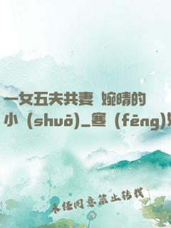 一女五夫共妻蘇婉晴的小說(shuō)