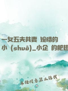 一女五夫共妻蘇婉晴的小說(shuō)
