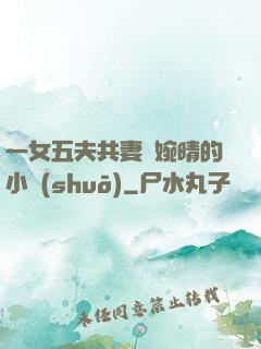一女五夫共妻蘇婉晴的小說(shuō)