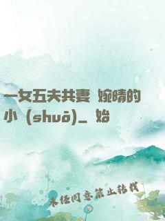 一女五夫共妻蘇婉晴的小說(shuō)