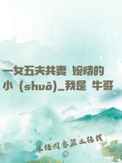 一女五夫共妻蘇婉晴的小說(shuō)