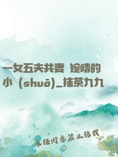 一女五夫共妻蘇婉晴的小說(shuō)