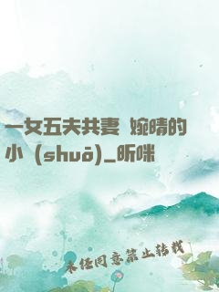 一女五夫共妻蘇婉晴的小說(shuō)