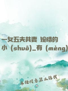 一女五夫共妻蘇婉晴的小說(shuō)