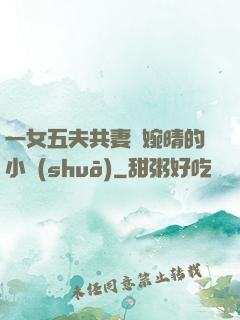 一女五夫共妻蘇婉晴的小說(shuō)