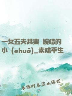 一女五夫共妻蘇婉晴的小說(shuō)