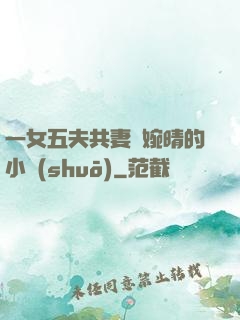 一女五夫共妻蘇婉晴的小說(shuō)