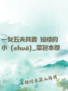 一女五夫共妻蘇婉晴的小說(shuō)