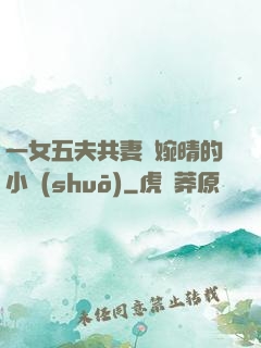 一女五夫共妻蘇婉晴的小說(shuō)