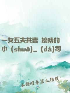 一女五夫共妻蘇婉晴的小說(shuō)