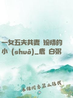 一女五夫共妻蘇婉晴的小說(shuō)