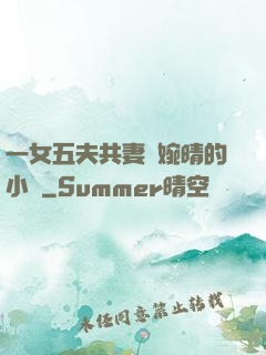 一女五夫共妻蘇婉晴的小說
