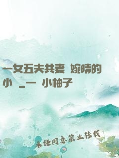 一女五夫共妻蘇婉晴的小說