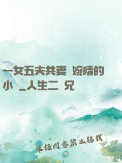 一女五夫共妻蘇婉晴的小說