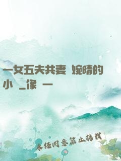 一女五夫共妻蘇婉晴的小說
