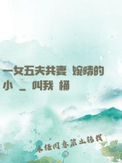 一女五夫共妻蘇婉晴的小說